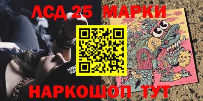 индика Беслан