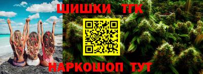 индика Беслан