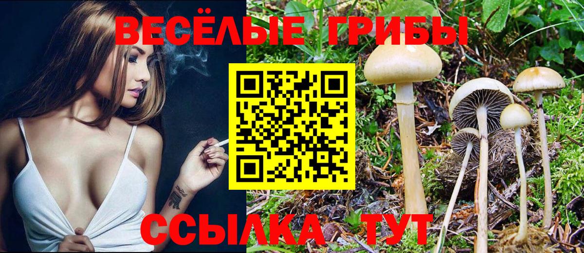 ЭКСТАЗИ  Меф кристаллы  COCAIN  Где найти наркотики?  КЕТАМИН  ГАШ  Кандалакша  Вход с VPN  НБОМе 