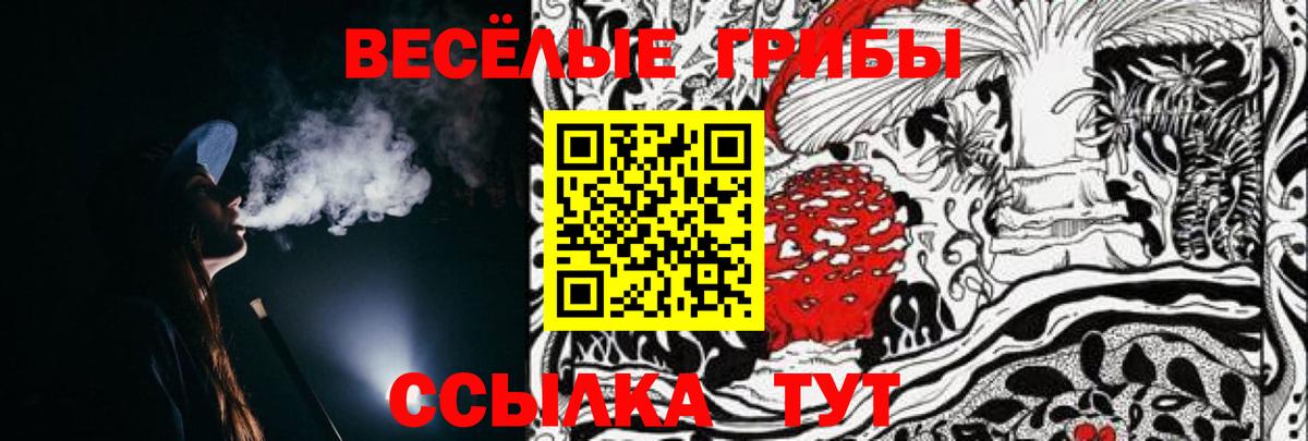 Галлюциногенные грибы мухоморы  Псилоцибиновые грибы ЛСД  Кандалакша  Вход с VPN 
